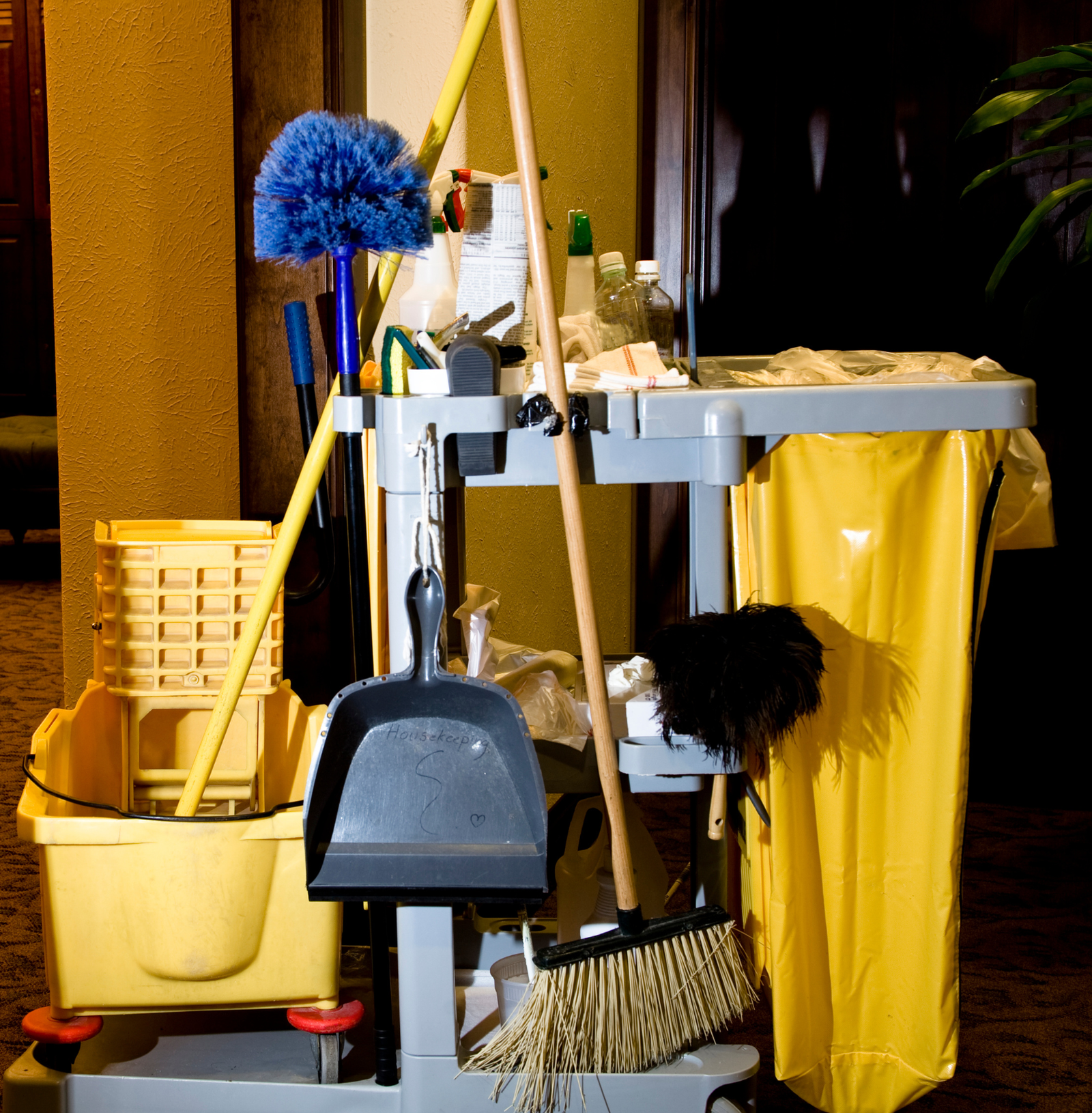 Professional Cleaning Services